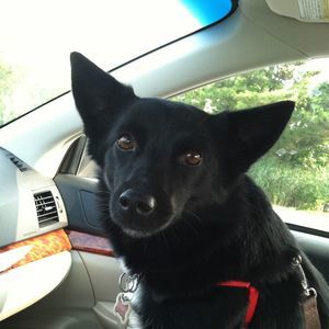 Meet your Posher, Laura